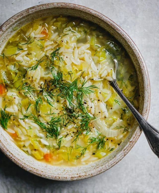 Orzo Leek and Dill Soup