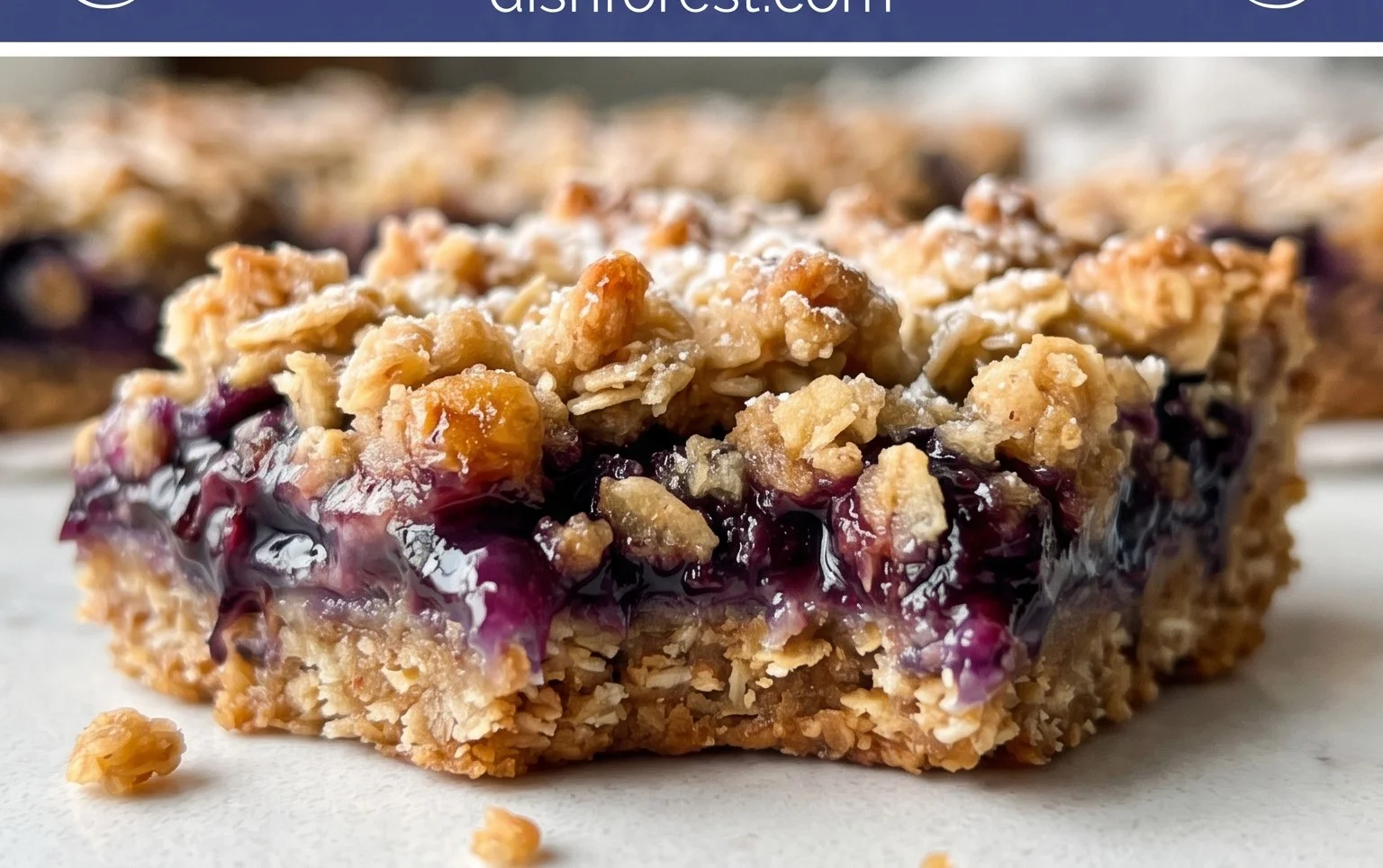 Blueberry Oatmeal Bars